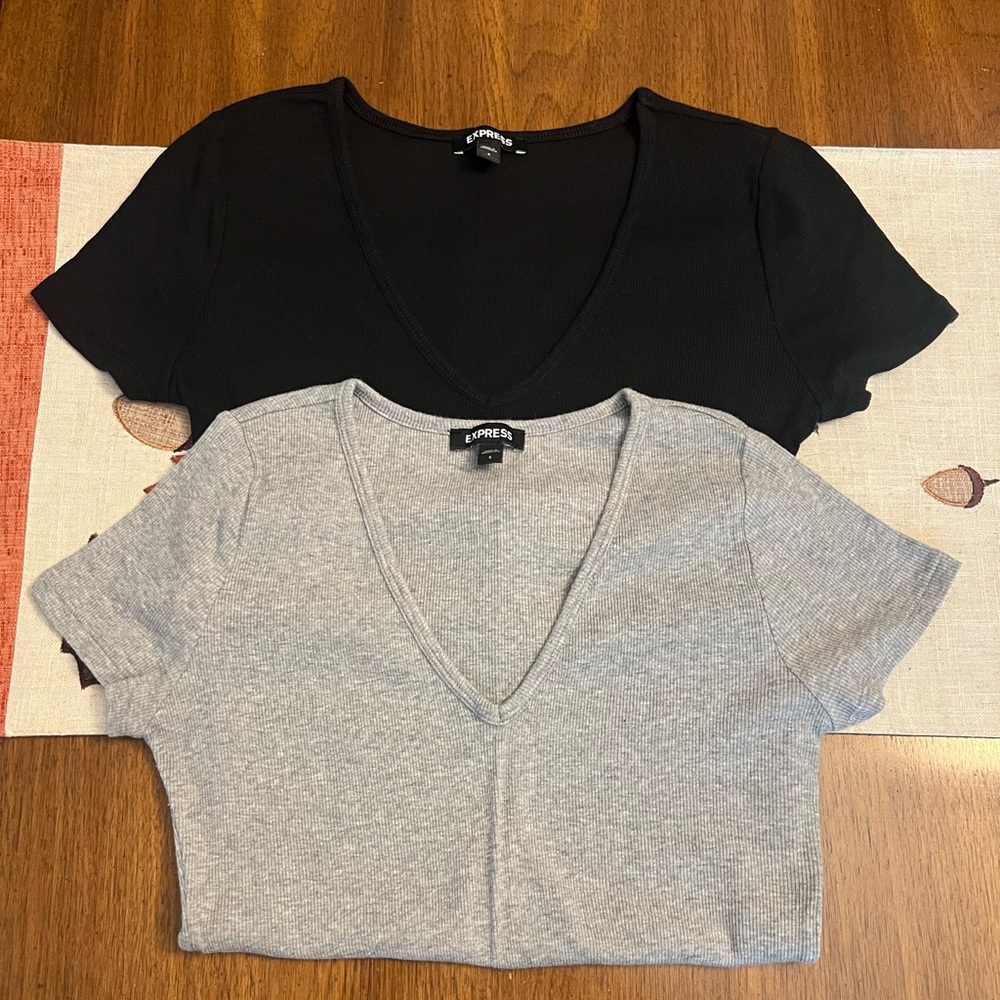 Express V-Neck Ribbed Tees